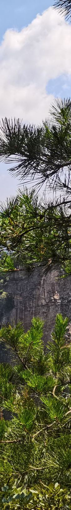 黄石寨索道-张家界