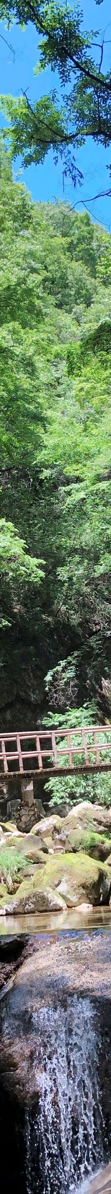 牛背梁国家森林公园-柞水