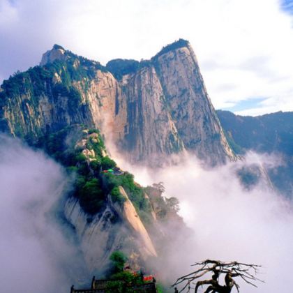 西安兵马俑+华清宫+华山+大唐不夜城+钟鼓楼广场4日3晚跟团游