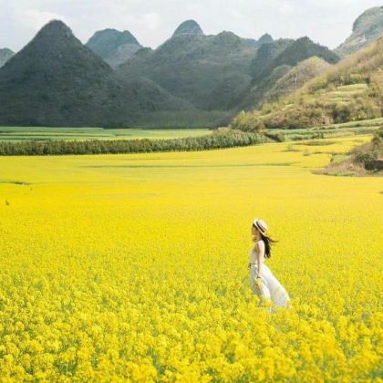 昆明+建水+元阳+罗平+东川红土地7日6晚拼小团