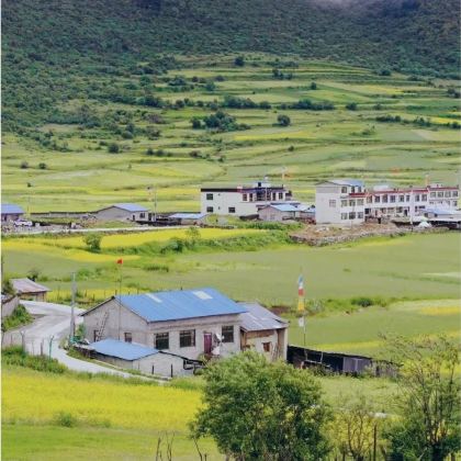 林芝+墨脱+波密+来古冰川4日3晚私家团