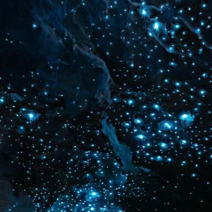 新西兰南岛+特卡波湖+库克山+皇后镇8日私家团