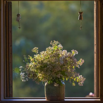 江西庐山+婺源+景德镇5日4晚拼小团