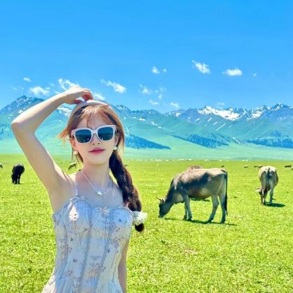 新疆北疆+赛里木湖+那拉提8日7晚拼小团