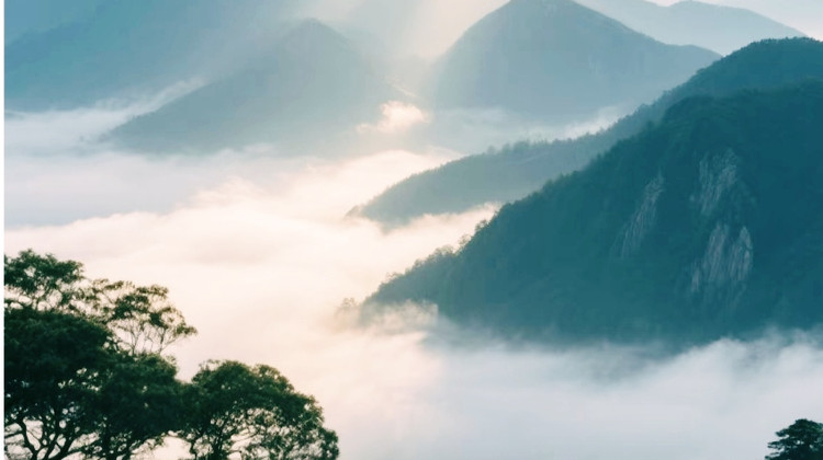 衡阳旅行社排名揭晓：中铁国旅靠这三招稳居前列