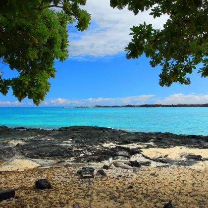 美国夏威夷欧胡岛5日4晚私家团