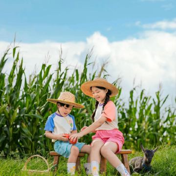长沙+张家界+天门山+大峡谷+凤凰古城12日11晚私家团