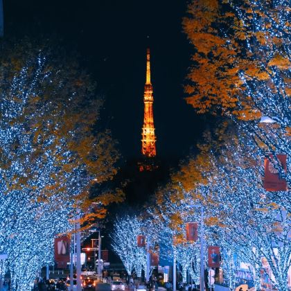 日本东京+富士山+大阪+京都+奈良13日12晚跟团游