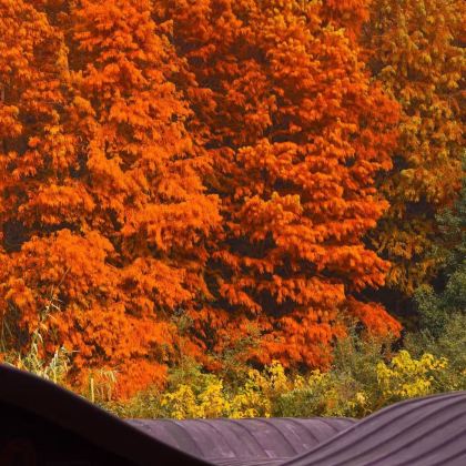 无锡+扬州+泰州+兴化+盐城9日8晚私家团