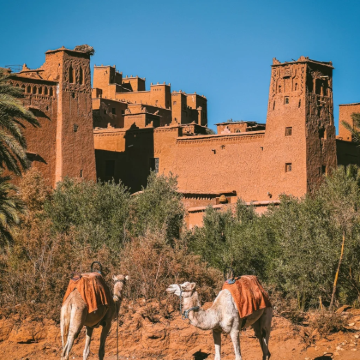 摩洛哥8日6晚私家团