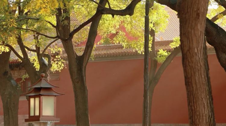 5D4N · Group Tours · Beijing + The Palace Museum + Mutianyu Great Wall + Summer Palace + Prince Kung's Palace Museum + Temple of Heaven + Universal Beijing Resort