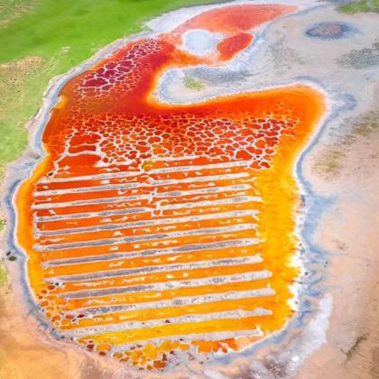 宁夏银川+沙湖生态旅游区4日3晚跟团游