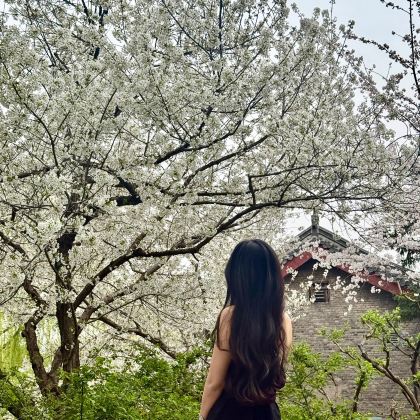 济南+泰山风景区+曲阜三孔景区4日3晚私家团