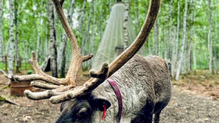 3-Day Mohe + Arctic Village + The First Bay of Longjiang + Beihong Village