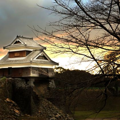 日本九州+熊本市+鹿儿岛市+宫崎市+福冈7日6晚拼小团