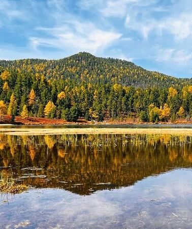 4D3N • Mongolia Horse trekking and camping tour