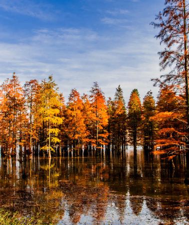 6D5N • No surcharge for Christmas. Kunming + Dali + Lijiang + Erhai Lake + Yulong Snow Mountain + Stone Forest 