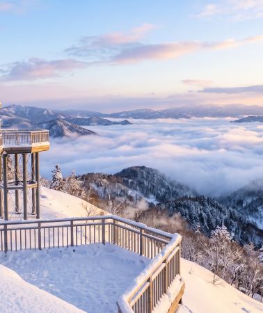 6天5晚 • 【北海道星野之旅】 札幌 + 旭川 + 美瑛町 + 小樽漫遊 + 2晚星野TOMAMU度假村 | 冬日浪漫之旅