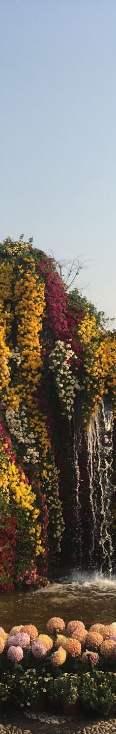 宁波植物园-宁波