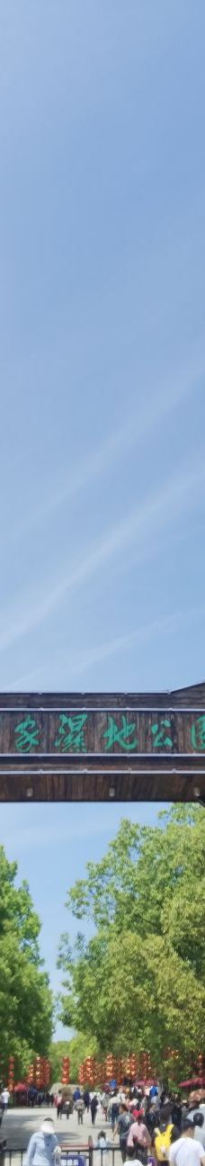 溱湖国家湿地公园-泰州