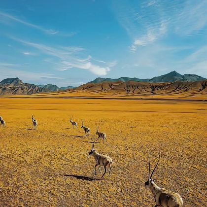 青海西宁+可可西里国家级自然保护区+昆仑山口5日4晚私家团