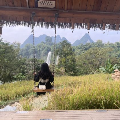 广西崇左+德天瀑布+通灵大峡谷+明仕田园+白头叶猴生态旅游区2日1晚拼小团