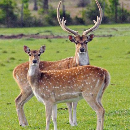 哈尔滨+伊春6日5晚私家团