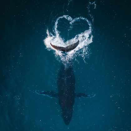 新西兰皇后镇+基督城+特卡波湖+瓦纳卡+箭镇+克伦威尔+库克山8日拼小团