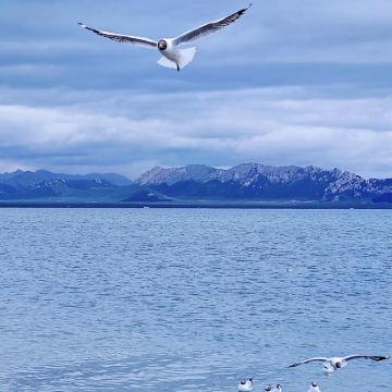 西宁+共和+玛沁+贵德+达日7日6晚私家团