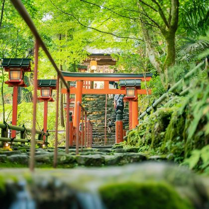 日本大阪+京都+奈良+日本环球影城7日6晚自由行