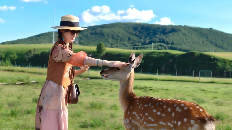 神农架5日4晚跟团游·云梦九湖+小众玩法深度游+6景全含+大九湖玩足4小时/晨曦雾语+喂小鹿+湖北小奈良