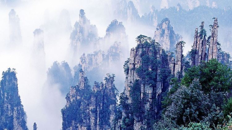3-Day Exploration Tour from Zhangjiajie · Tianmen Mountain | 2-Day in Zhangjiajie National Forest Park