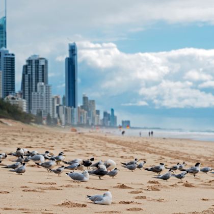 澳大利亚悉尼+黄金海岸+墨尔本10日8晚私家团