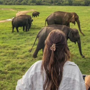 斯里兰卡6日5晚拼小团