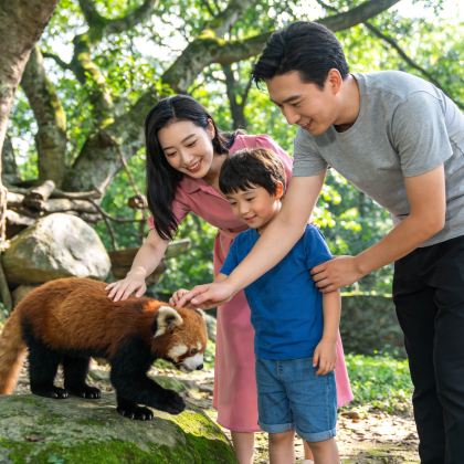 普洱+景迈山5日4晚私家团