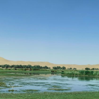 中国宁夏银川+西夏陵+内蒙古阿拉善左旗+六湖穿越(五湖)旅游景区+乌海+乌海湖+拉僧庙3日2晚拼小团