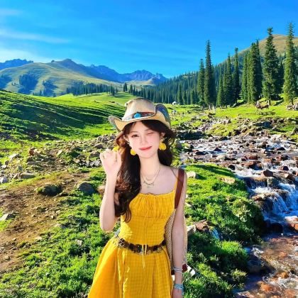 新疆乌鲁木齐+伊犁+昭苏+赛里木湖+那拉提9日8晚私家团