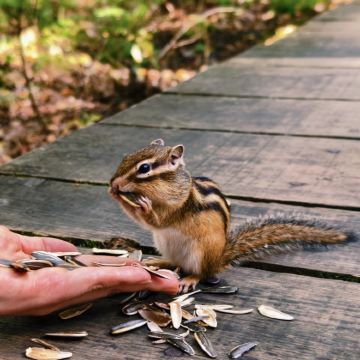 哈尔滨+伊春+五大连池市5日4晚私家团
