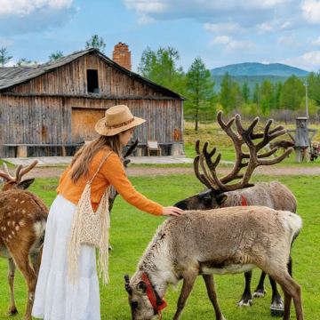哈尔滨+漠河7日6晚私家团