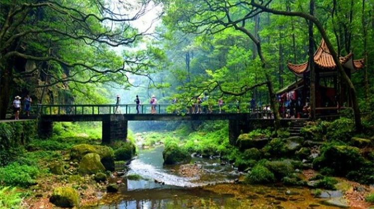 4-Day National Park Tour from Zhangjiajie · Tianzi Mountain, Yellow Dragon Cave and Tianmen Mountain | BaiLong Lift VIP Ticket