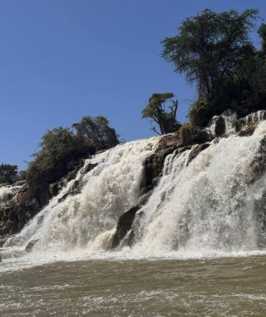 3D2N • From Addis Ababa: 3-Day Awash National Park & Alledeghi Tour