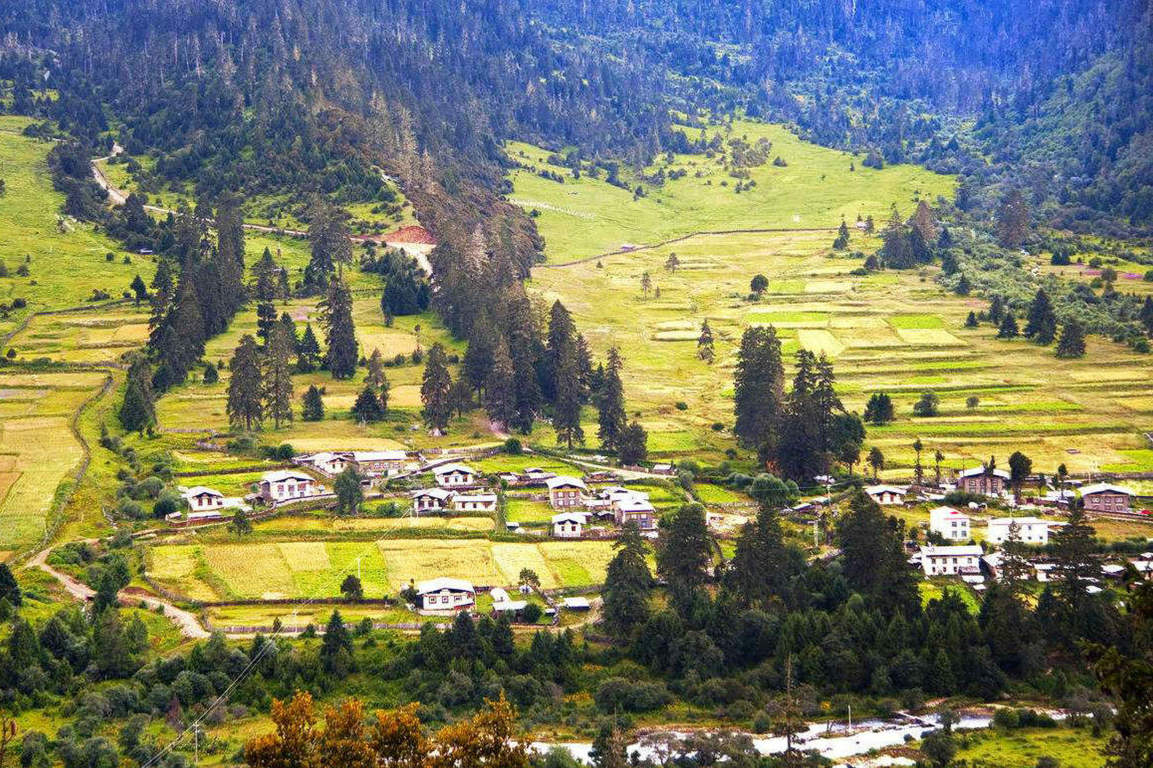 2021墨脱好玩的旅游景点/游玩攻略_12月墨脱短途/周边自驾游/出游