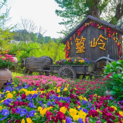 江西南昌+庐山风景名胜区+景德镇+婺源+三清山风景区6日5晚跟团游