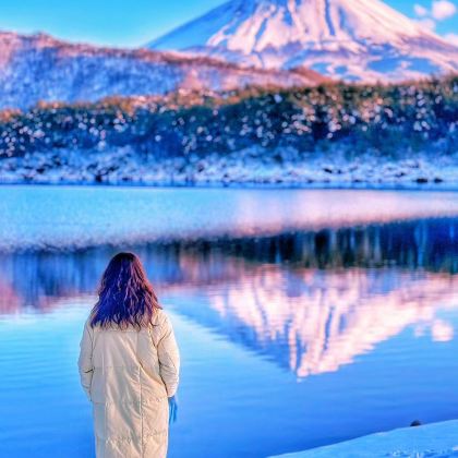 东京+富士山+茨城5日4晚跟团游