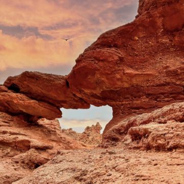 张掖+祁连+武威8日7晚私家团