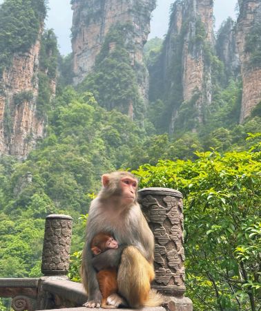 5D4N • Changsha + Shaoshan + Zhangjiajie + Tianmen Mountain National Forest Park + Zhangjiajie National Forest Park + Furong Town + Fenghuang Ancient Town