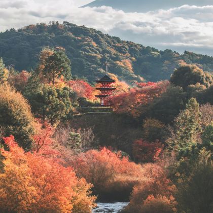 日本大阪+京都4日3晚自由行
