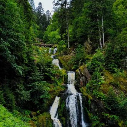 德国10日7晚私家团