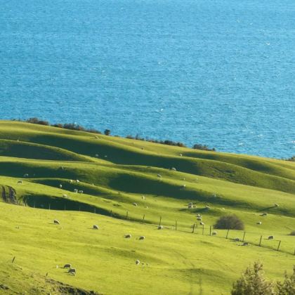 新西兰+斐济15日14晚私家团