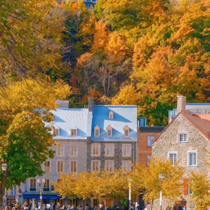 加拿大魁北克城+渥太华+多伦多+蒙特利尔+尼亚加拉瀑布7日5晚私家团